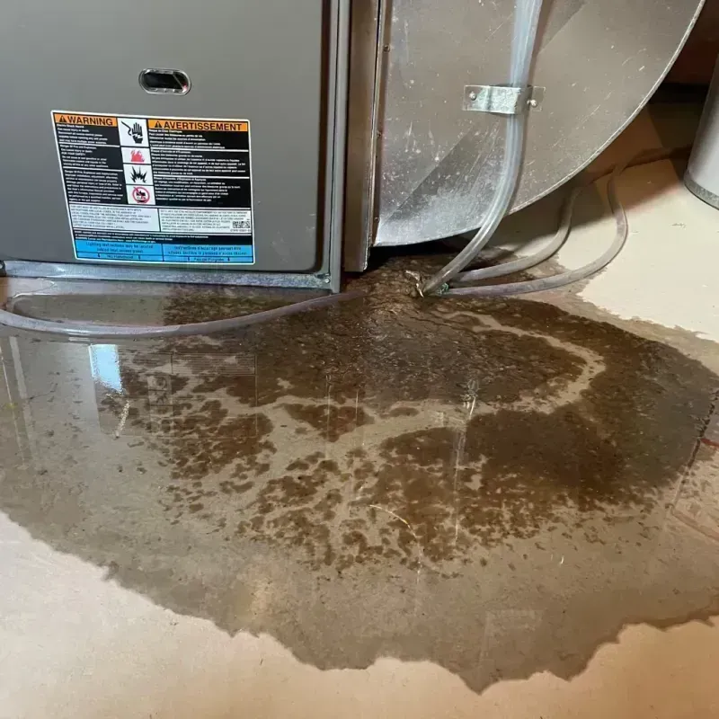 Appliance Leak Cleanup in Holts Summit, MO